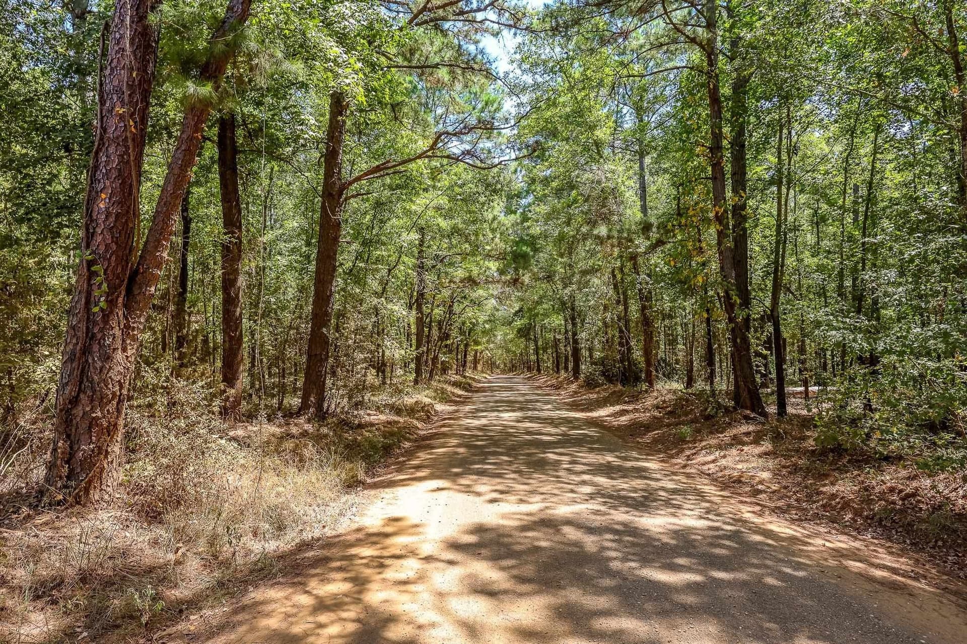 71.49 acres in Anderson County - photo 20