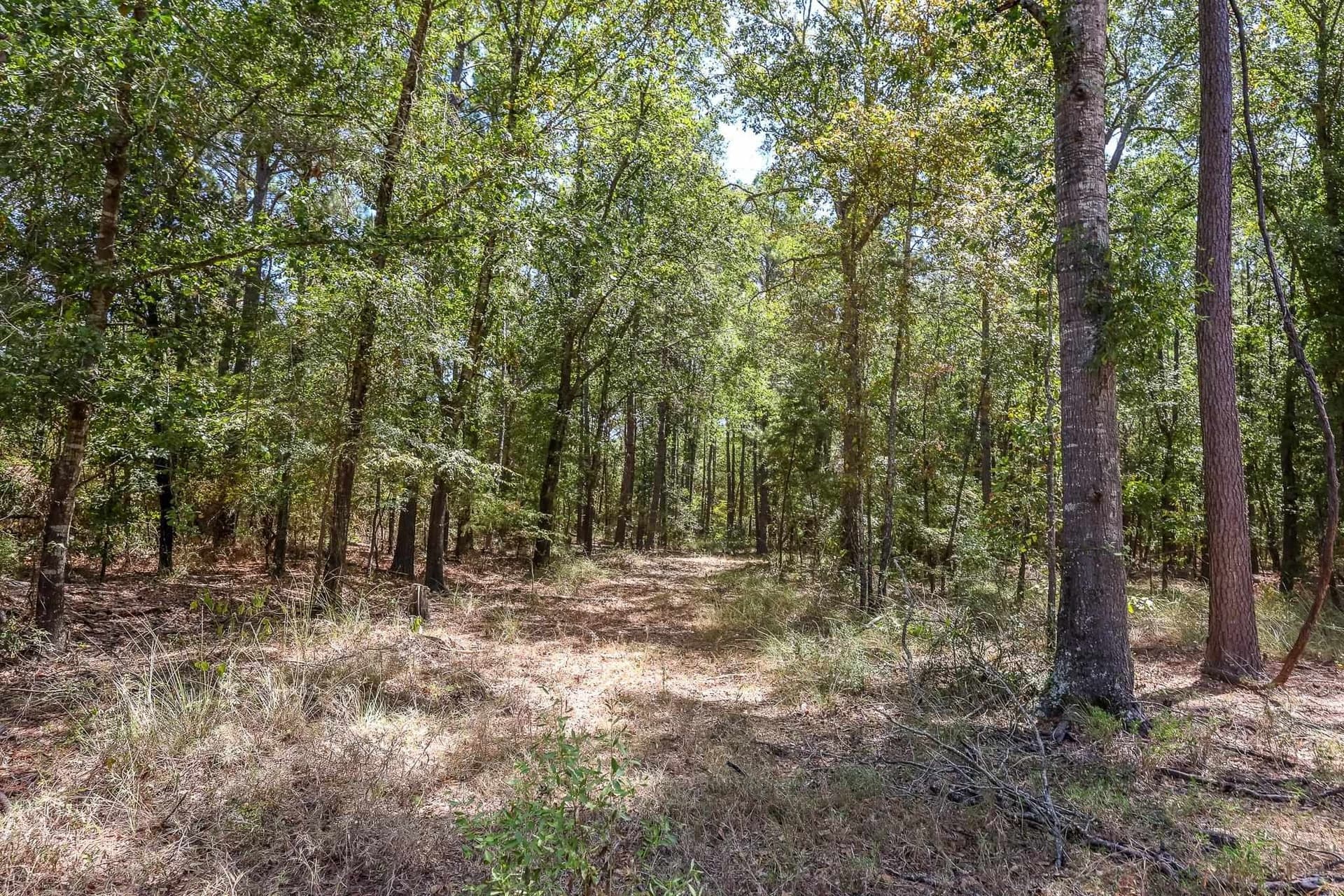 71.49 acres in Anderson County - photo 19