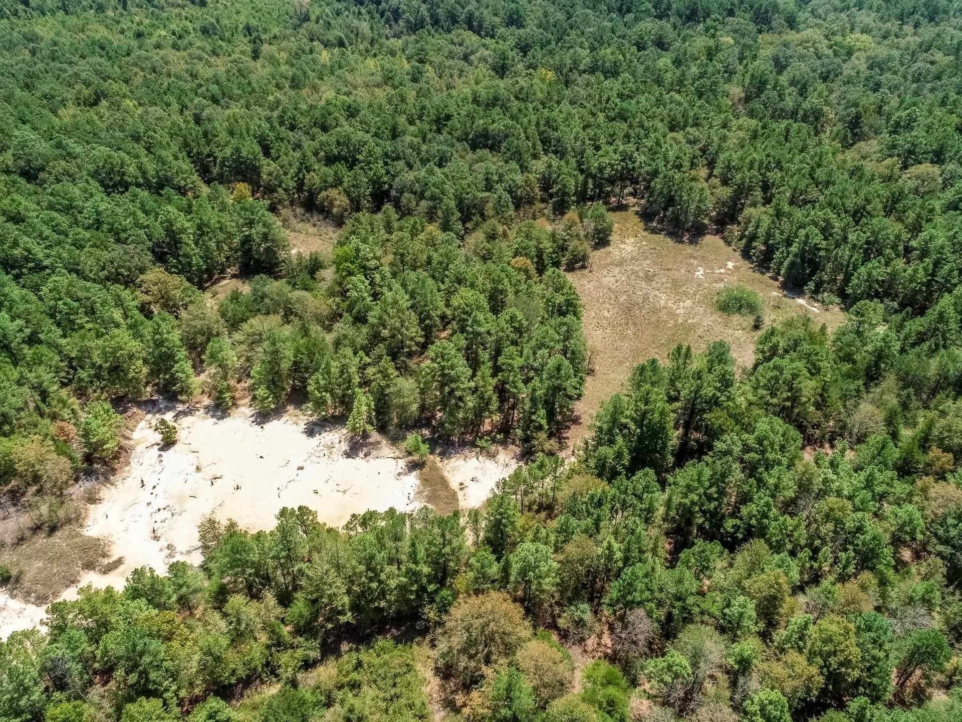 71.49 acres in Anderson County - photo 5