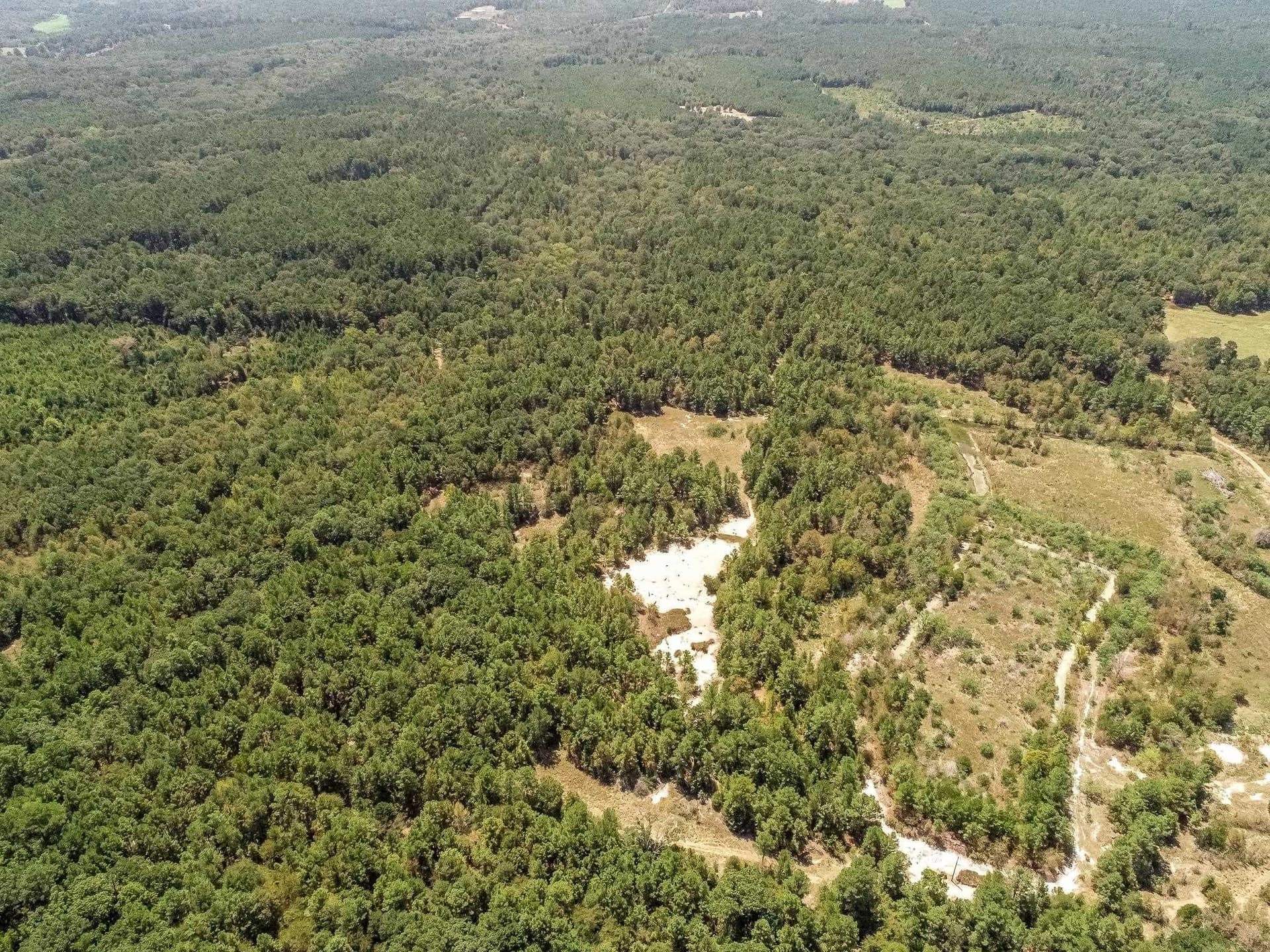 71.49 acres in Anderson County - photo 10