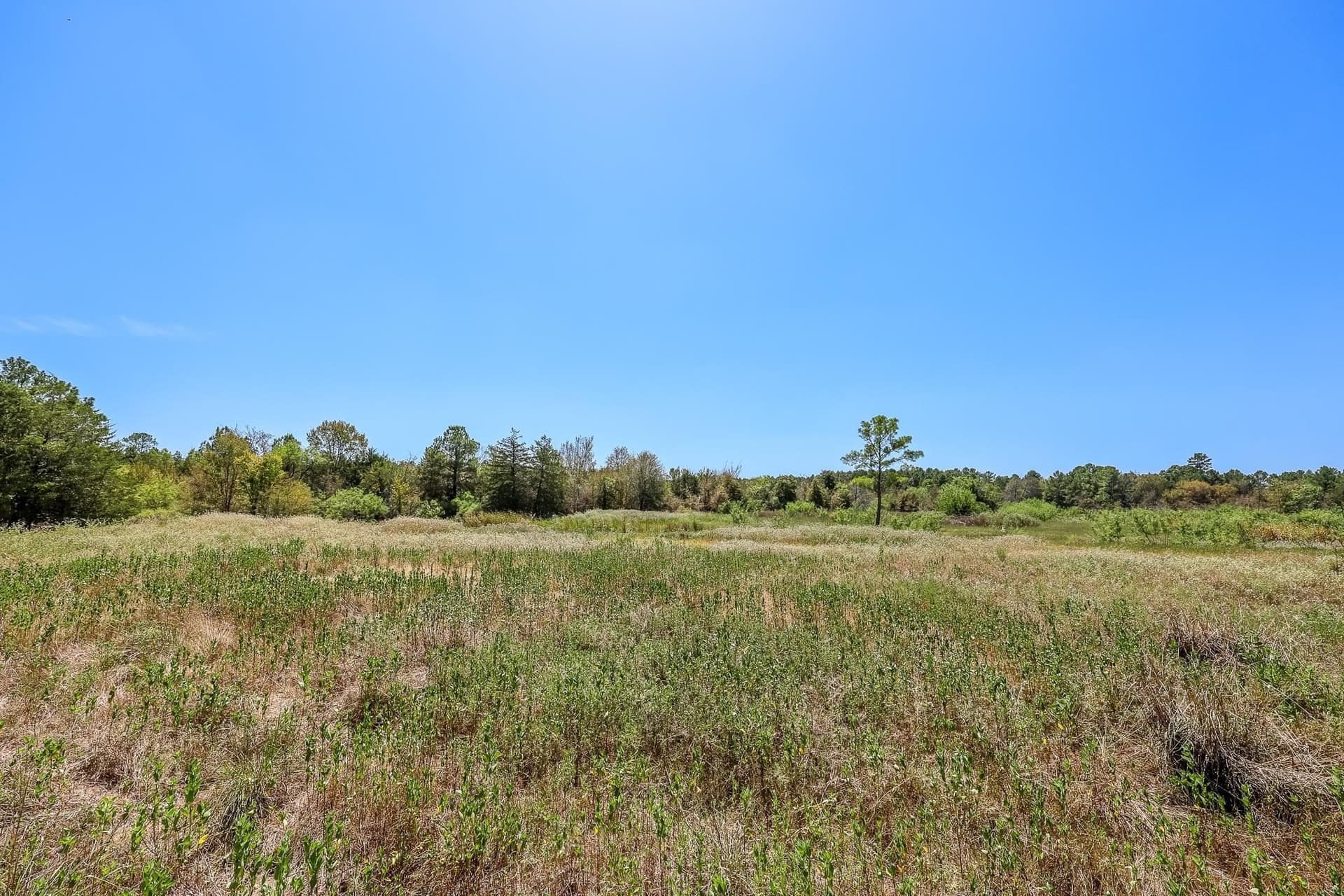 71.49 acres in Anderson County - photo 13