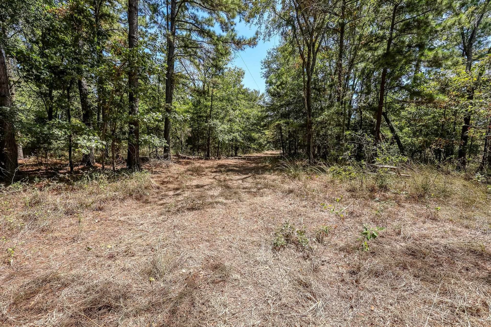 71.49 acres in Anderson County - photo 17
