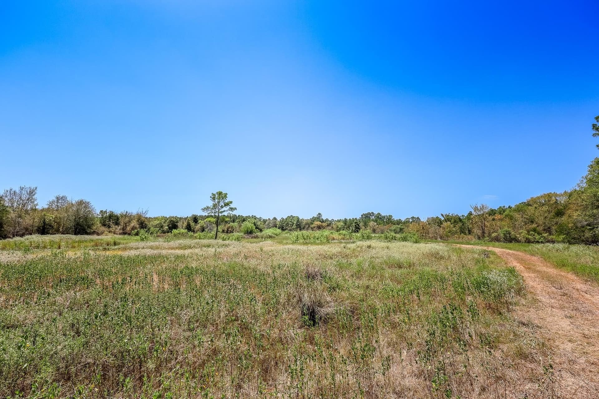 71.49 acres in Anderson County - photo 12