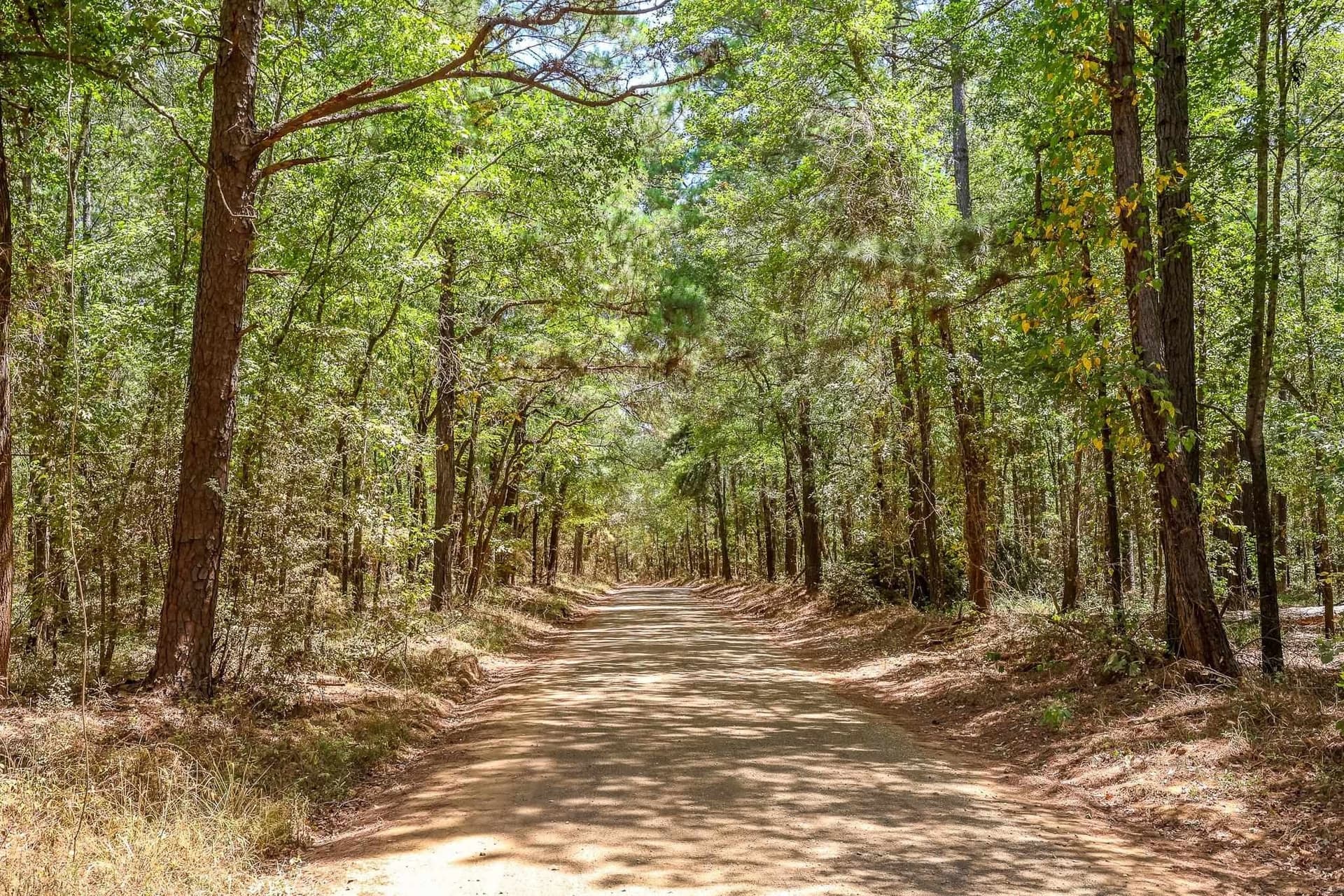 71.49 acres in Anderson County - photo 21