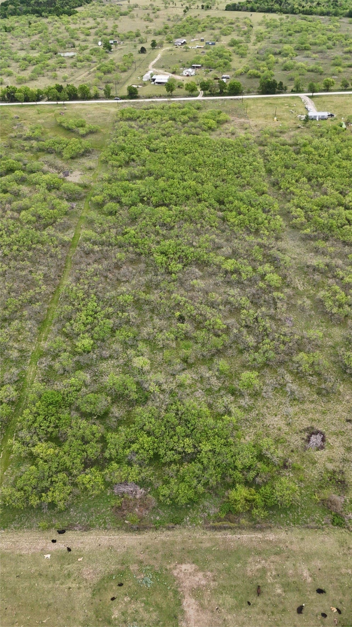 10.05 acres in Navarro County gallery image 3