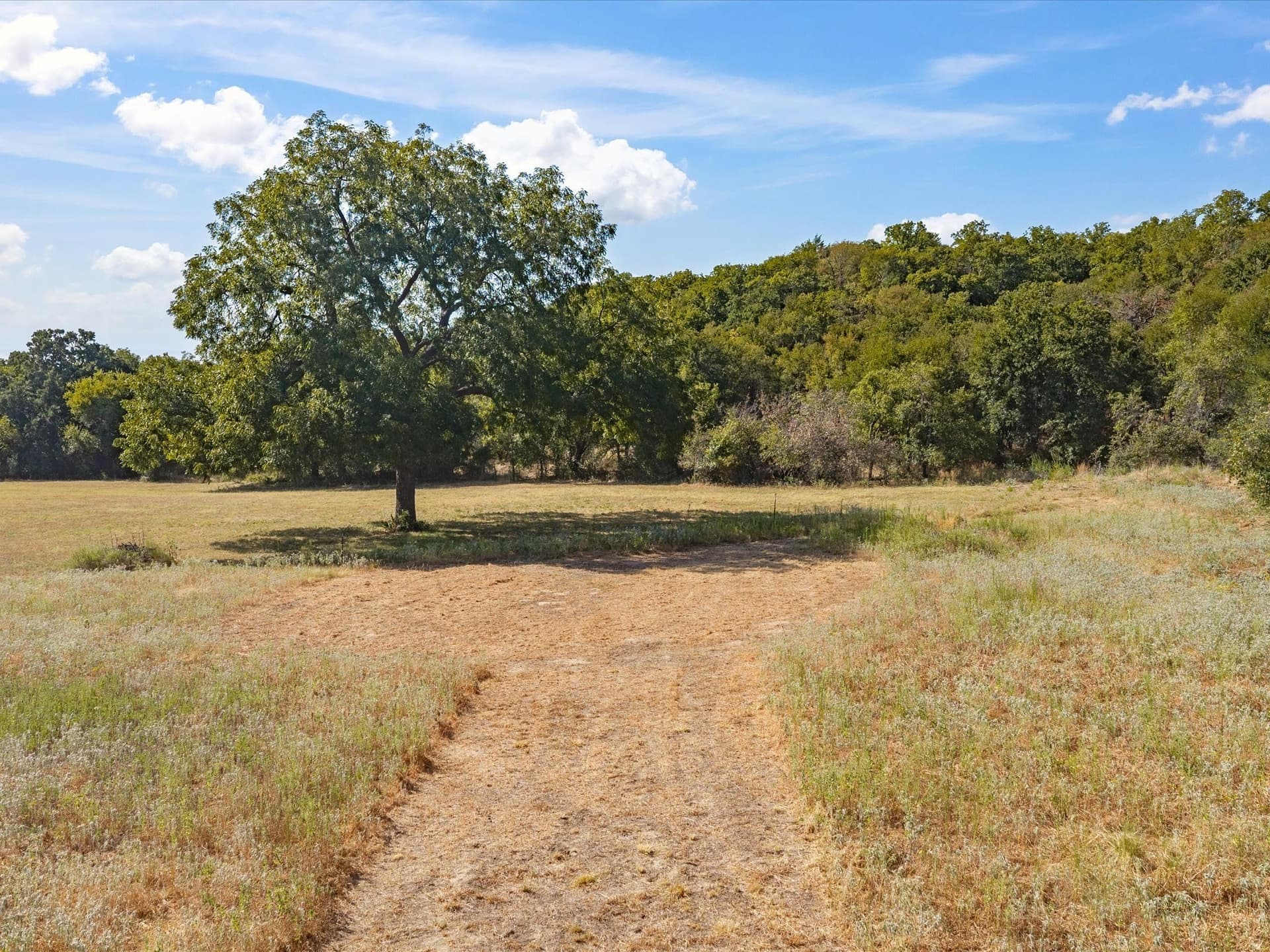 5 acres in Jack County - photo 12