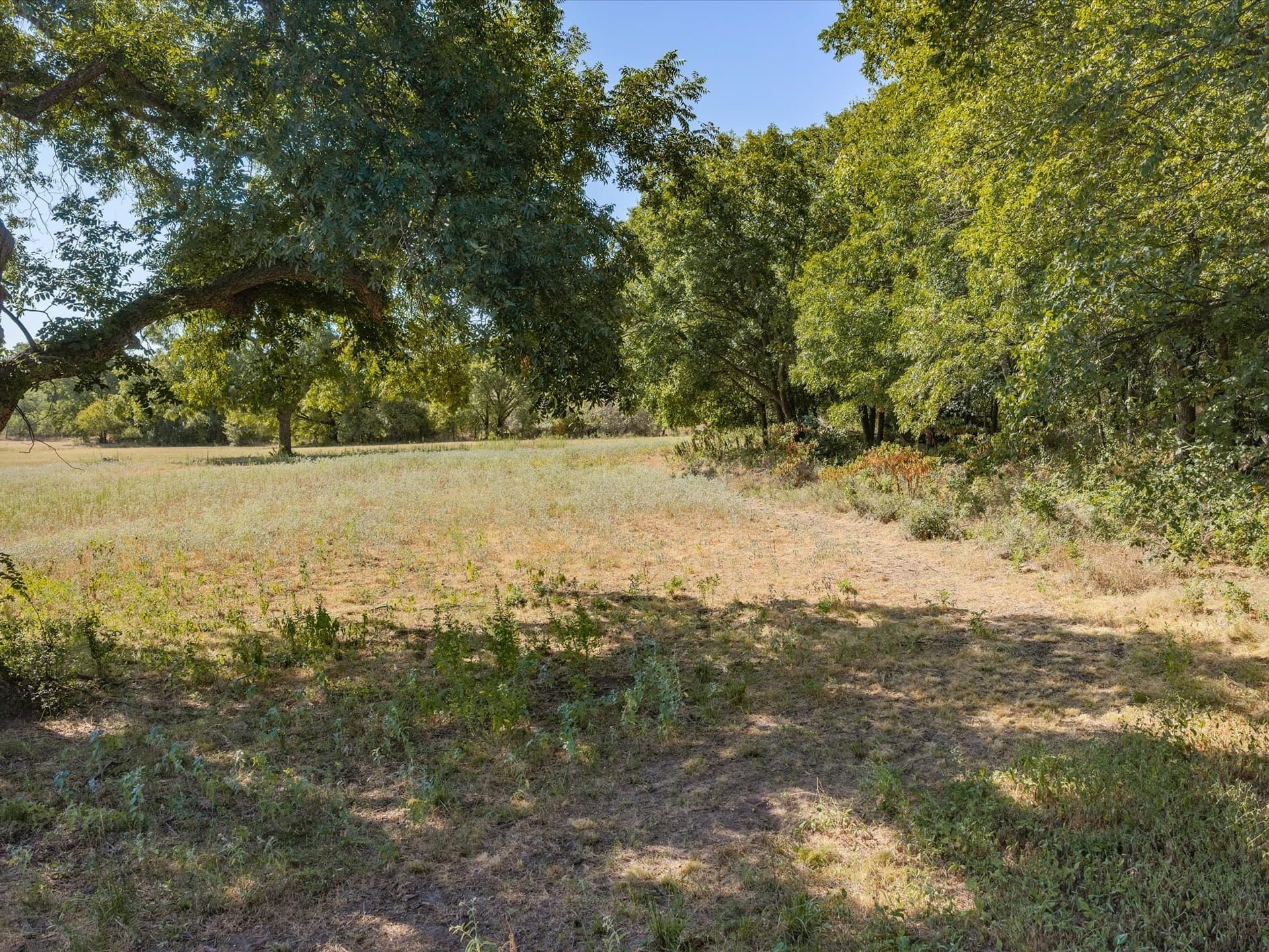 5 acres in Jack County - photo 16