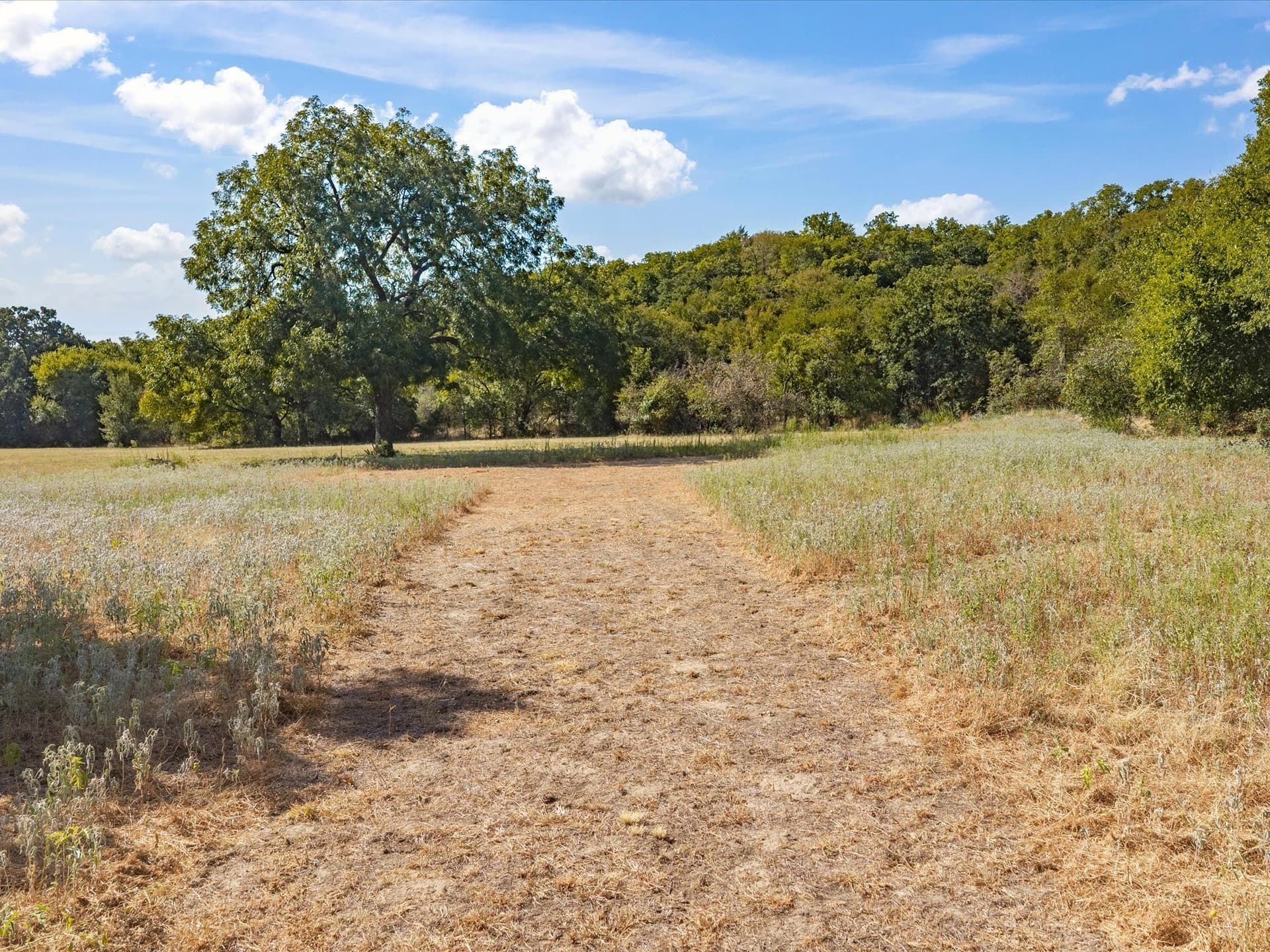 5 acres in Jack County - photo 11