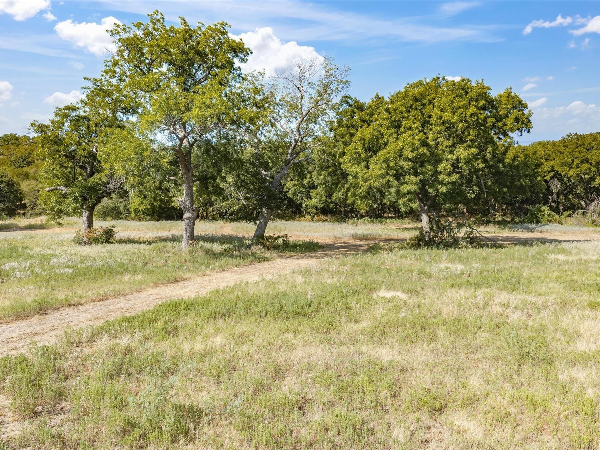 5 acres in Jack County - photo 8