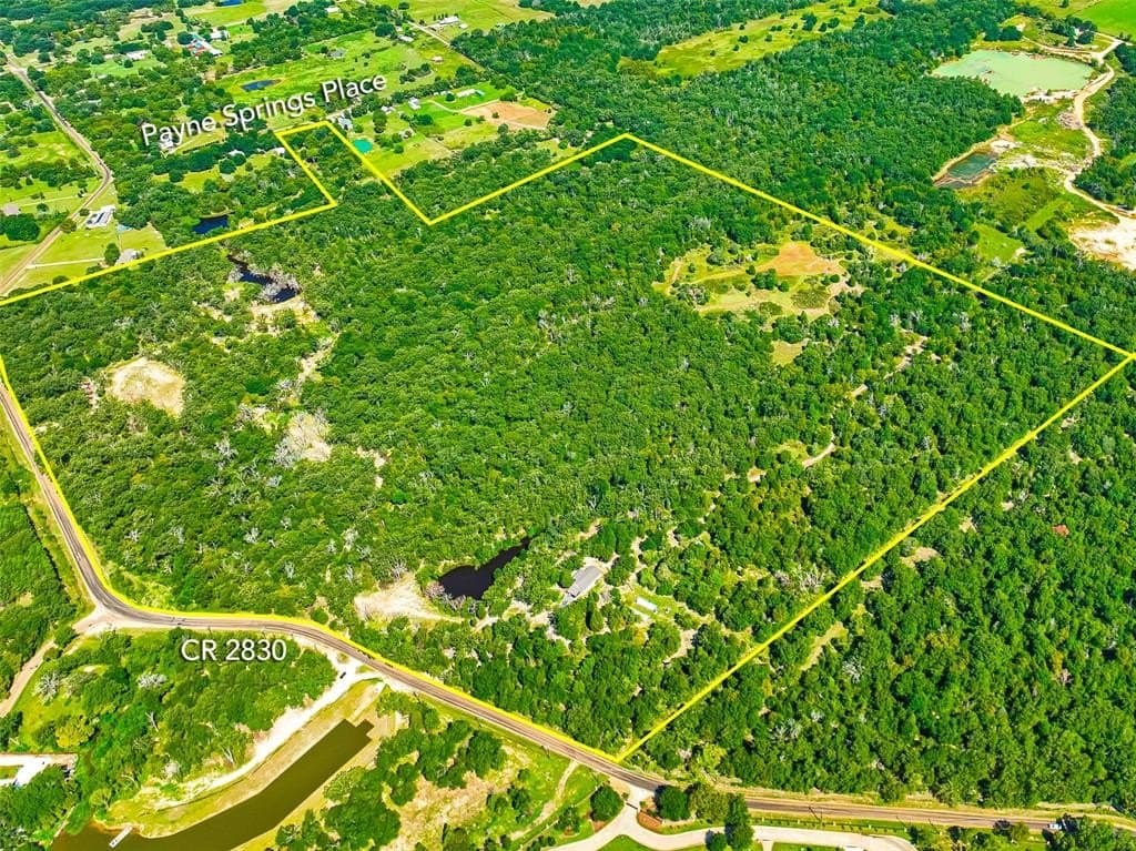 118 acres in Henderson County gallery image 3