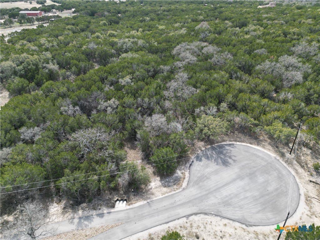 2.46 acres in Burnet County gallery image 3