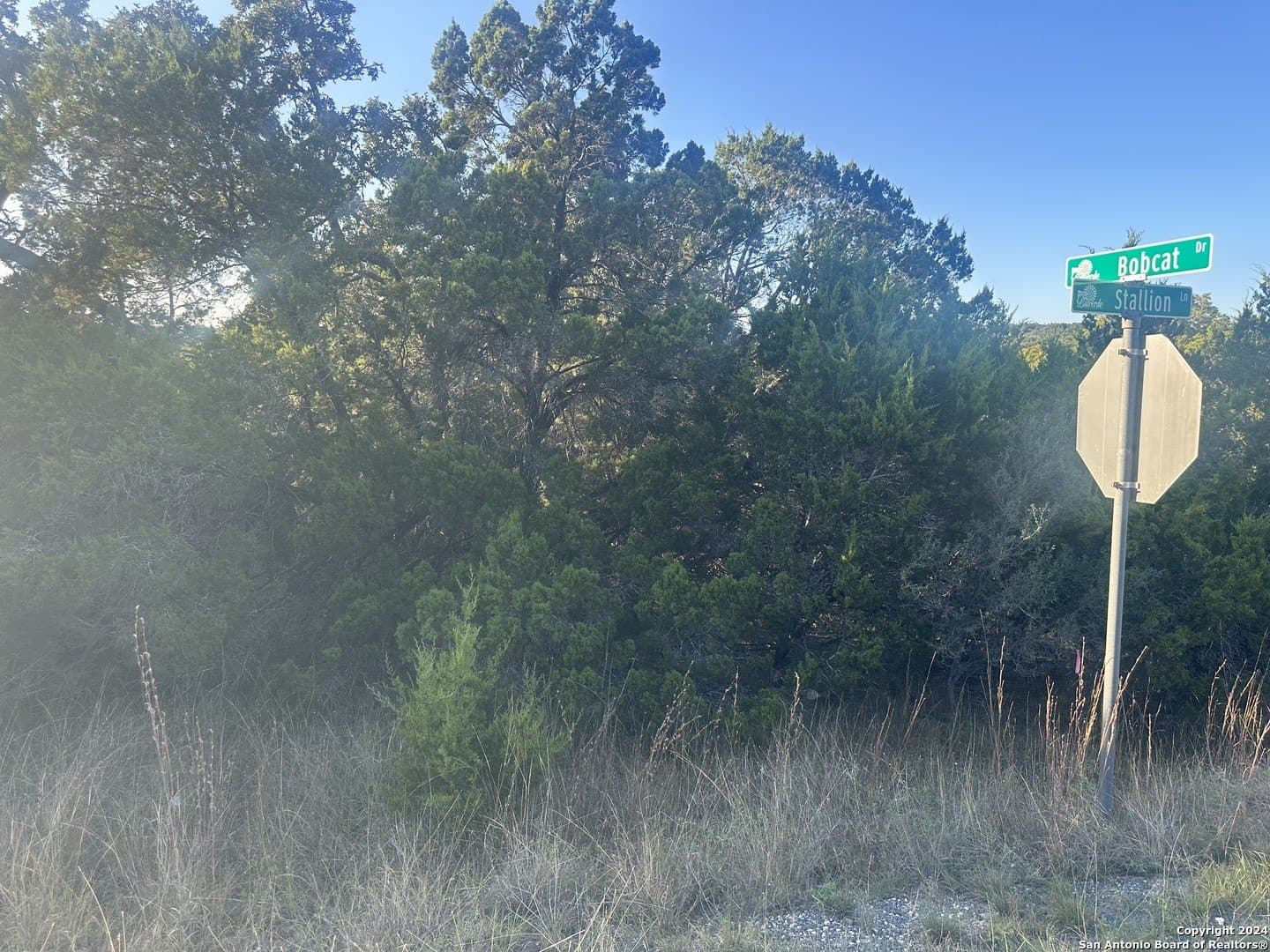 3.95 acres in Comal County gallery image 4