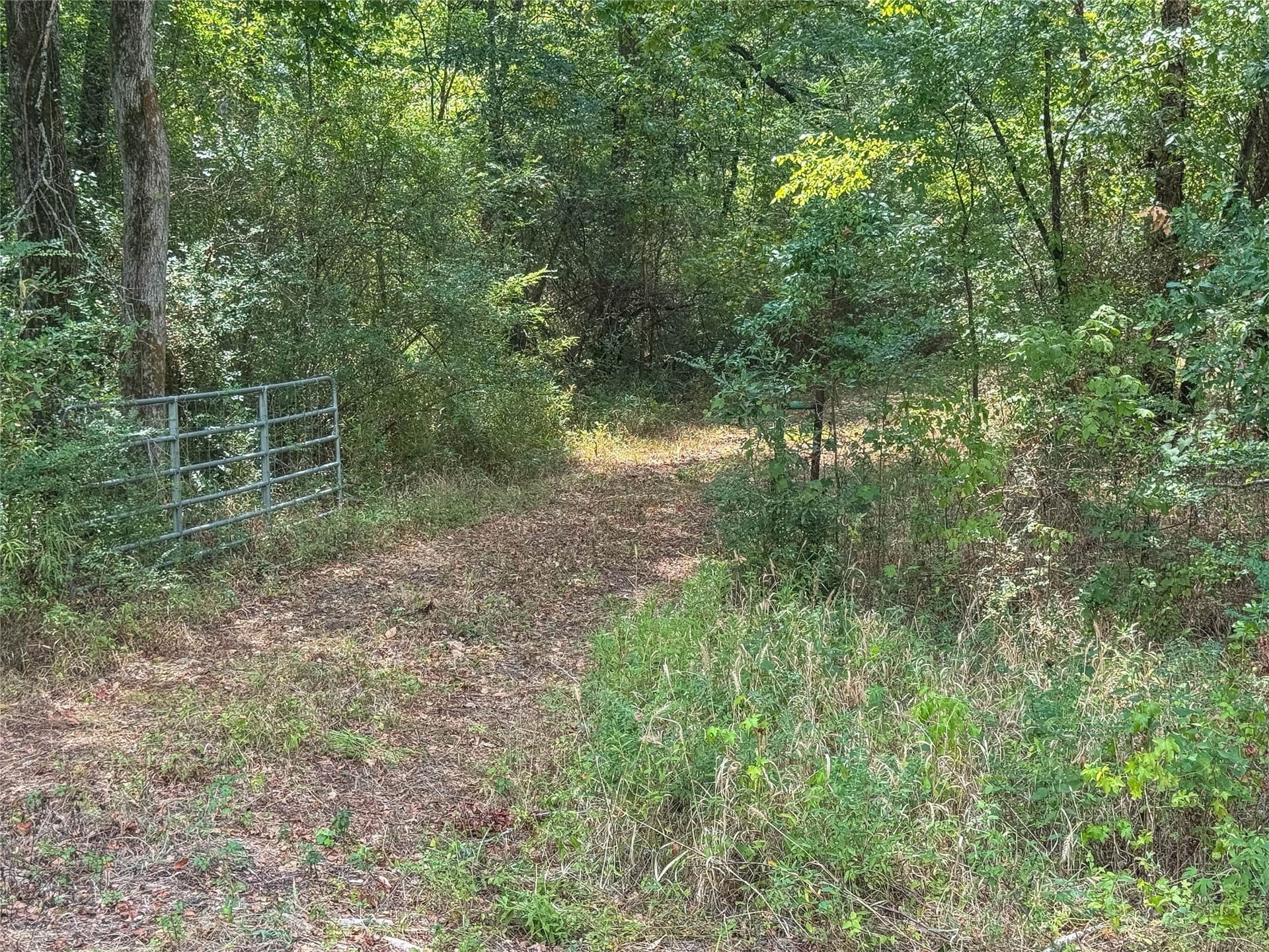 42.11 acres in Gregg County - photo 3