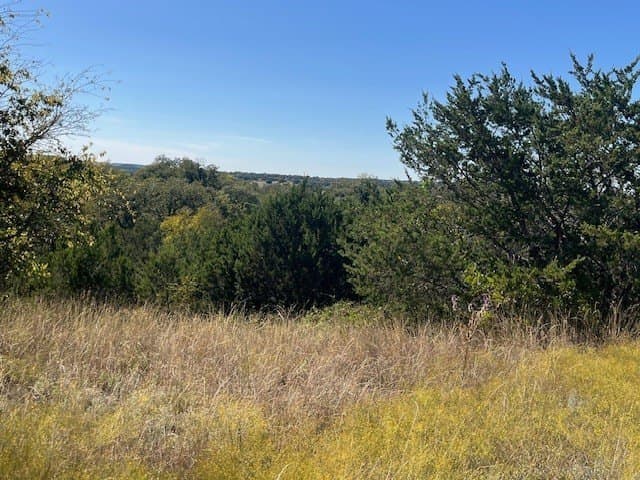 180.82 acres in Hood County - photo 13