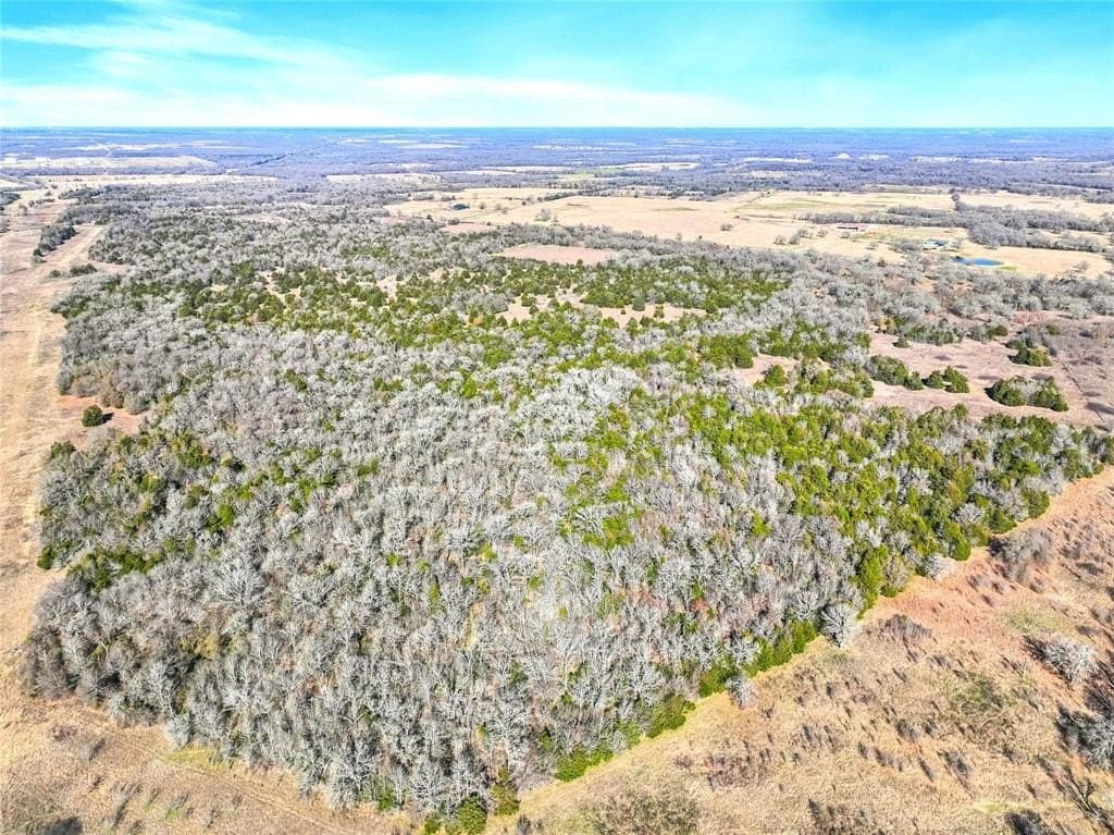 62.73 acres in Freestone County gallery image 4