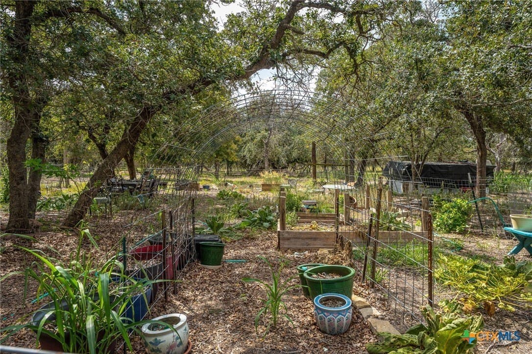 10 acres in Guadalupe County - photo 36