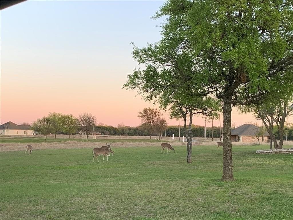 0.3 acres in Hill County featured view