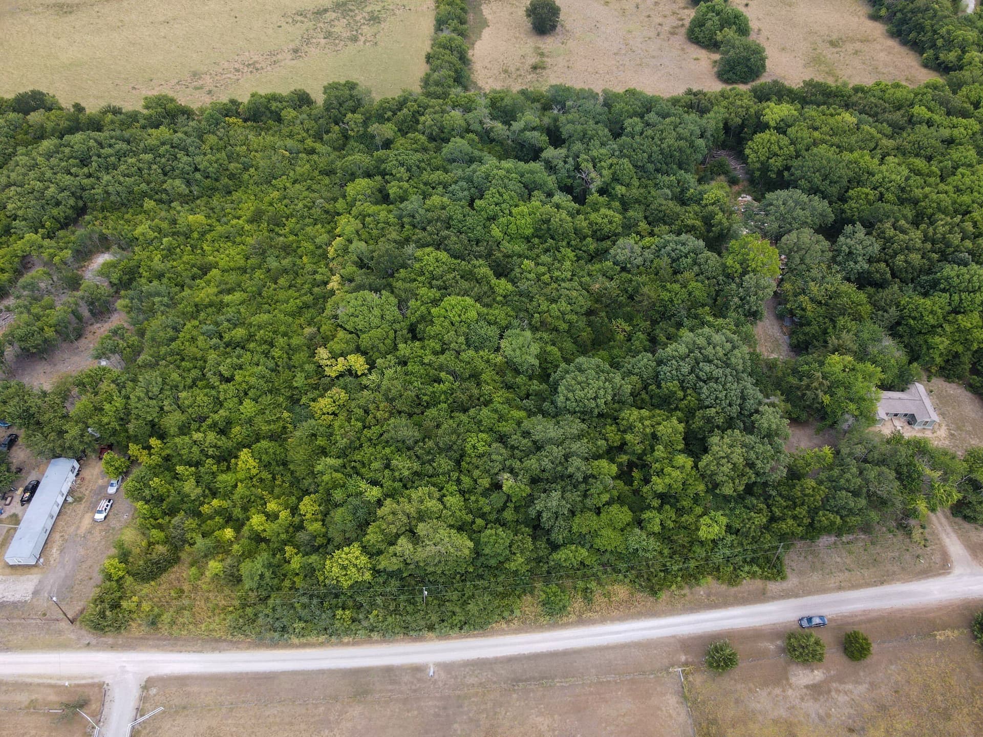 3 acres in Fannin County - photo 6