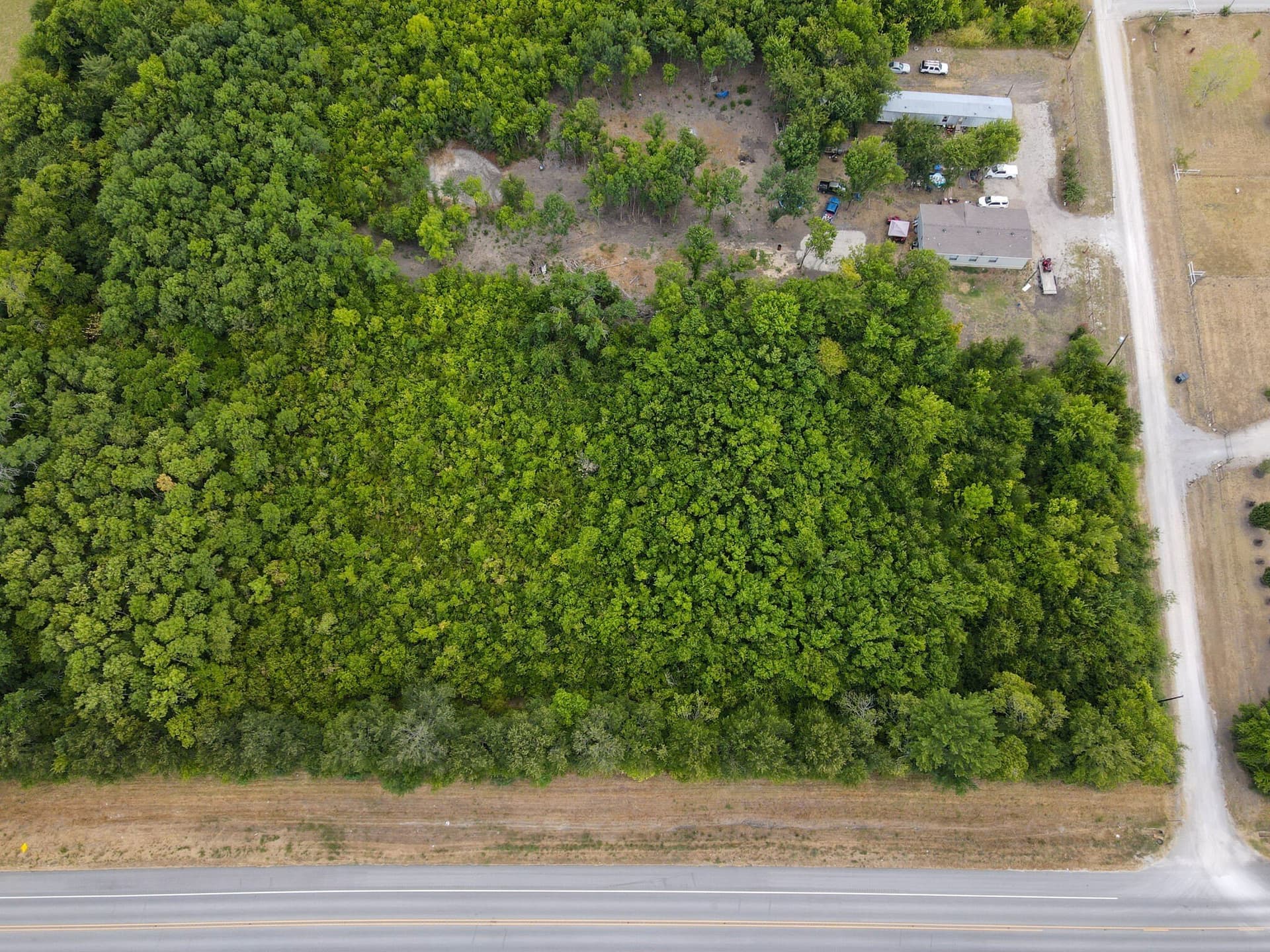 3 acres in Fannin County gallery image 2