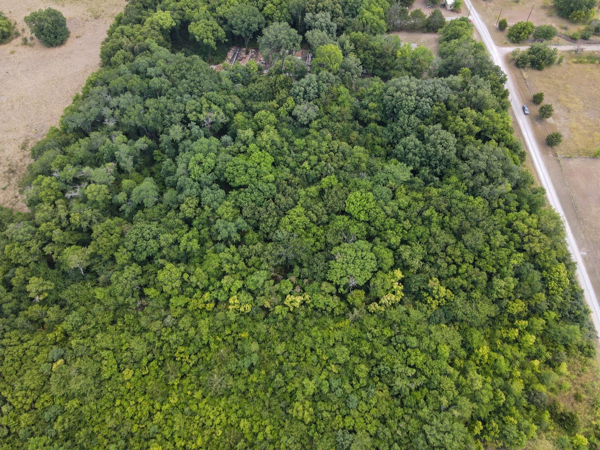 3 acres in Fannin County gallery image 3