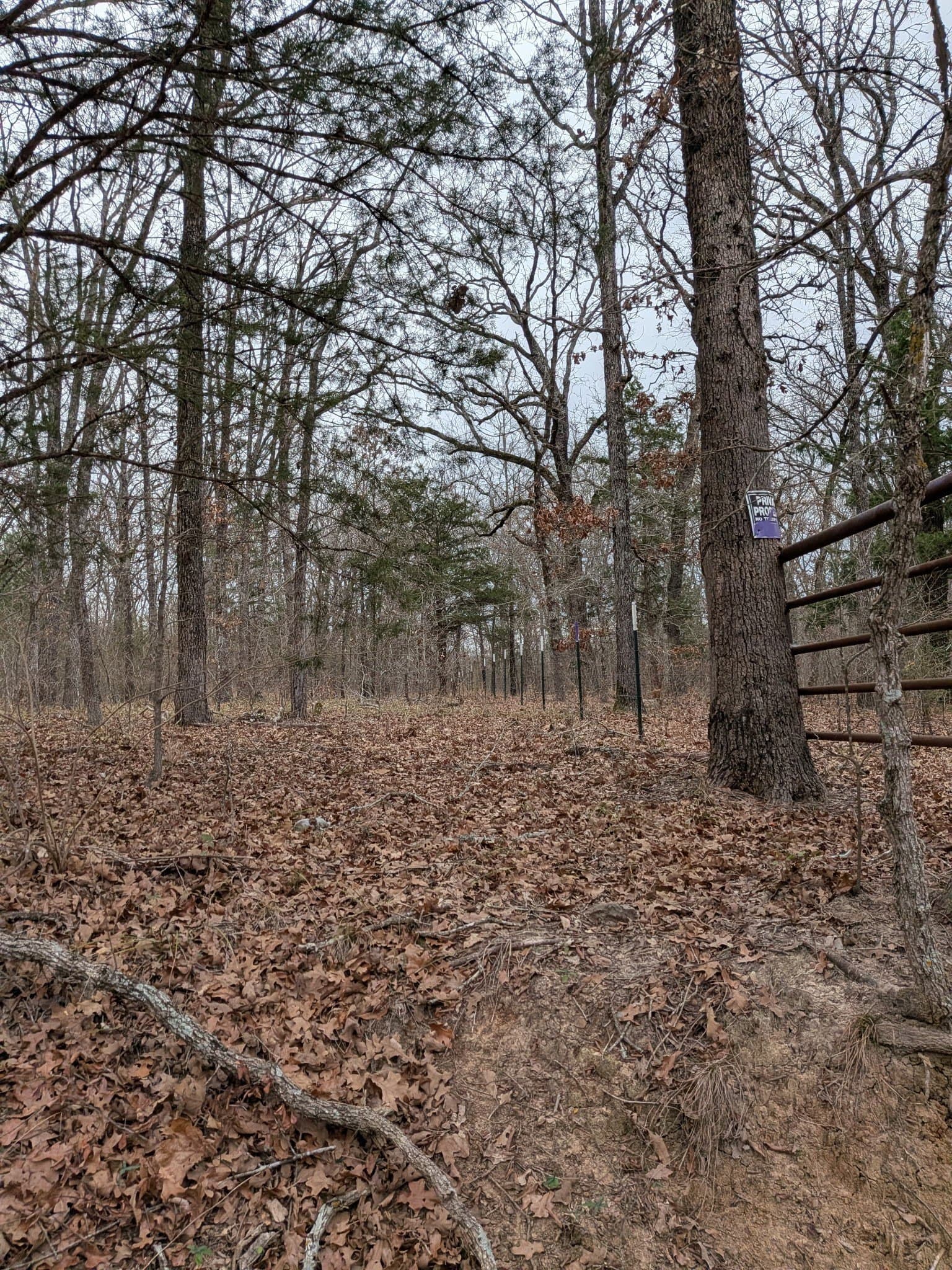 2.04 acres in Rains County - photo 12