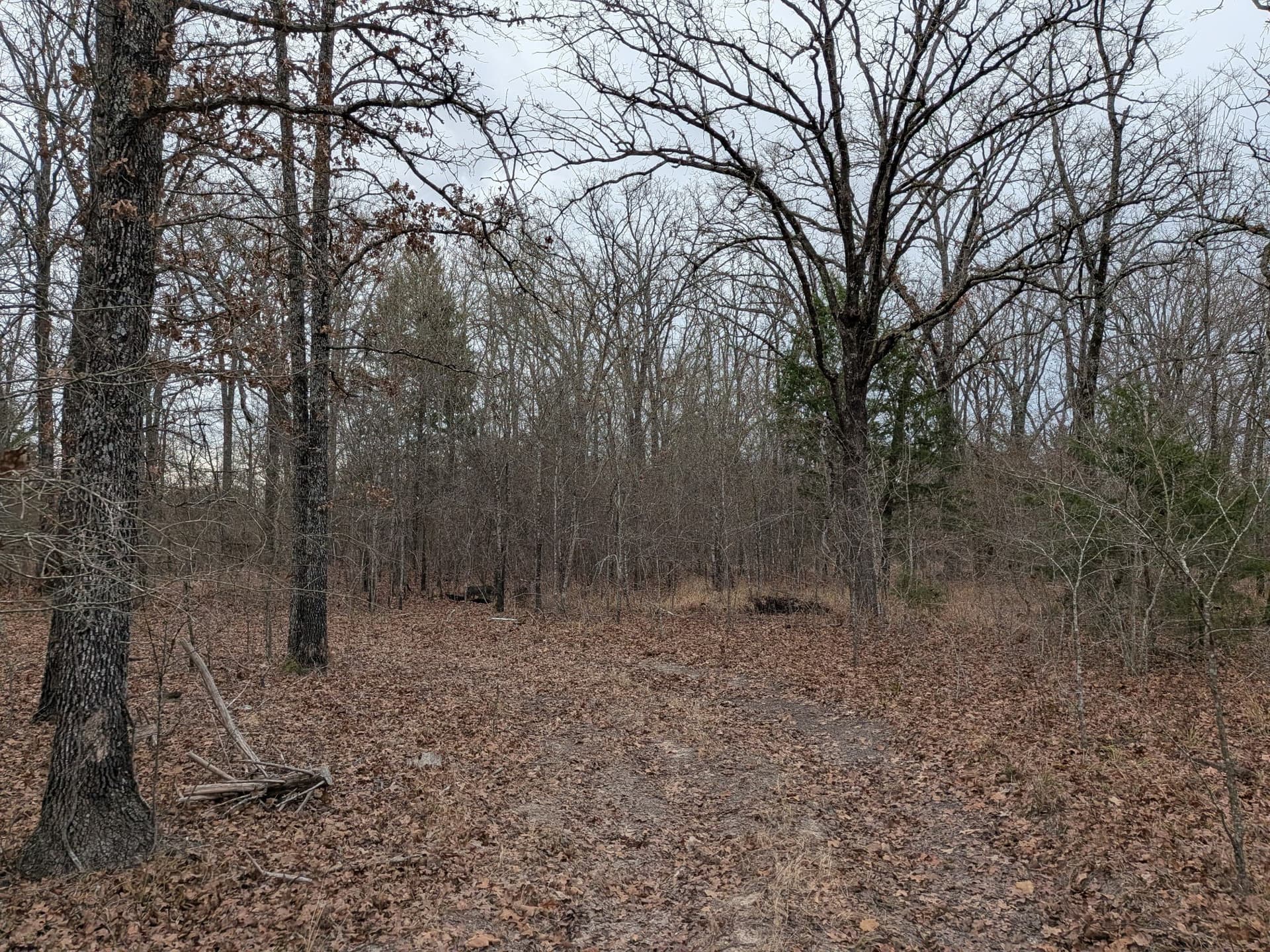 2.04 acres in Rains County - photo 11
