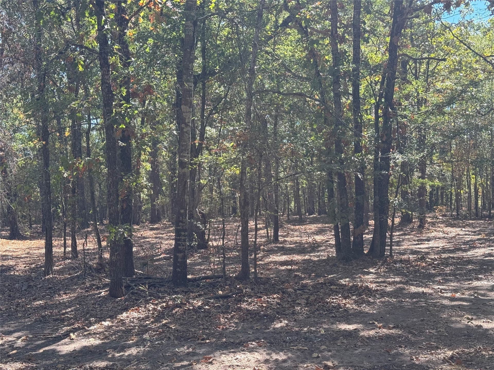 2.04 acres in Rains County - photo 8