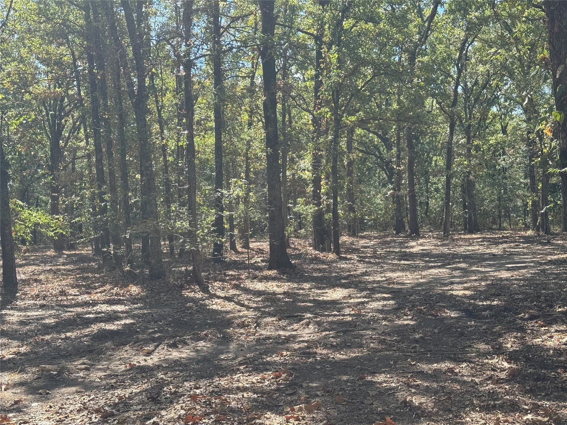 2.04 acres in Rains County - photo 3