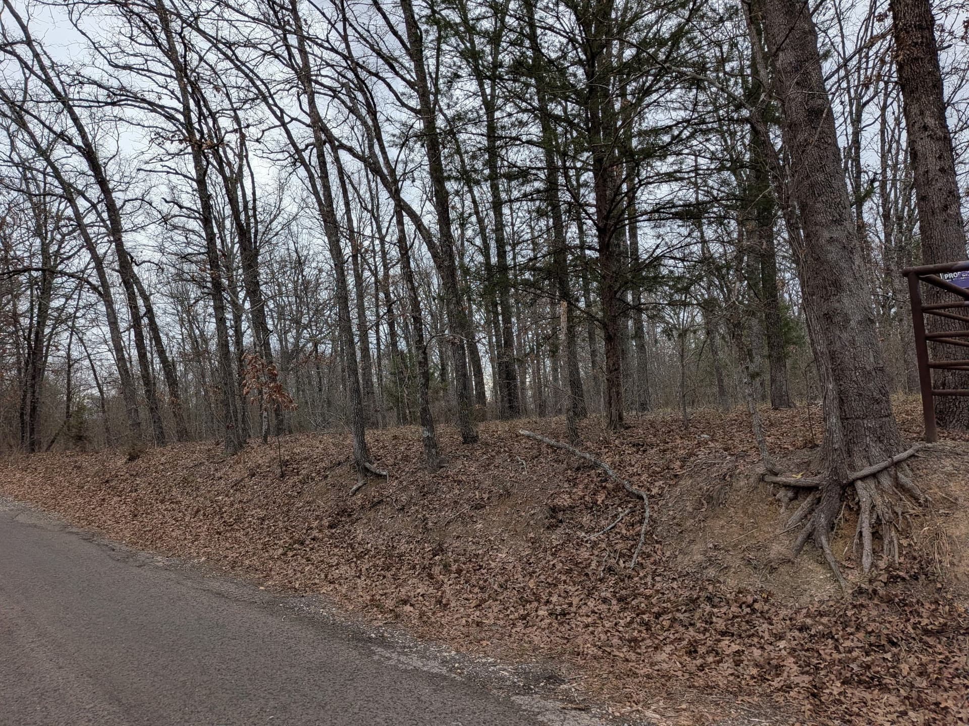 2.04 acres in Rains County - photo 13