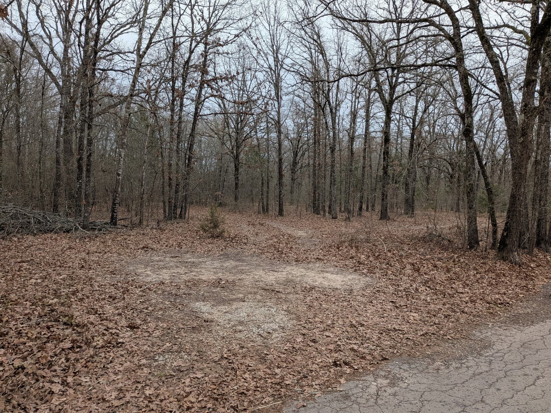 2.04 acres in Rains County - photo 10