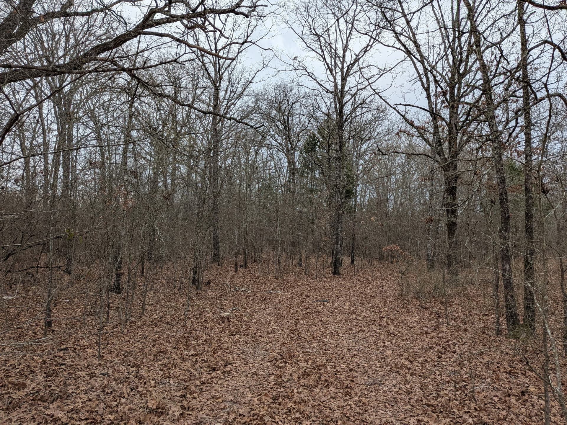 2.04 acres in Rains County - photo 15