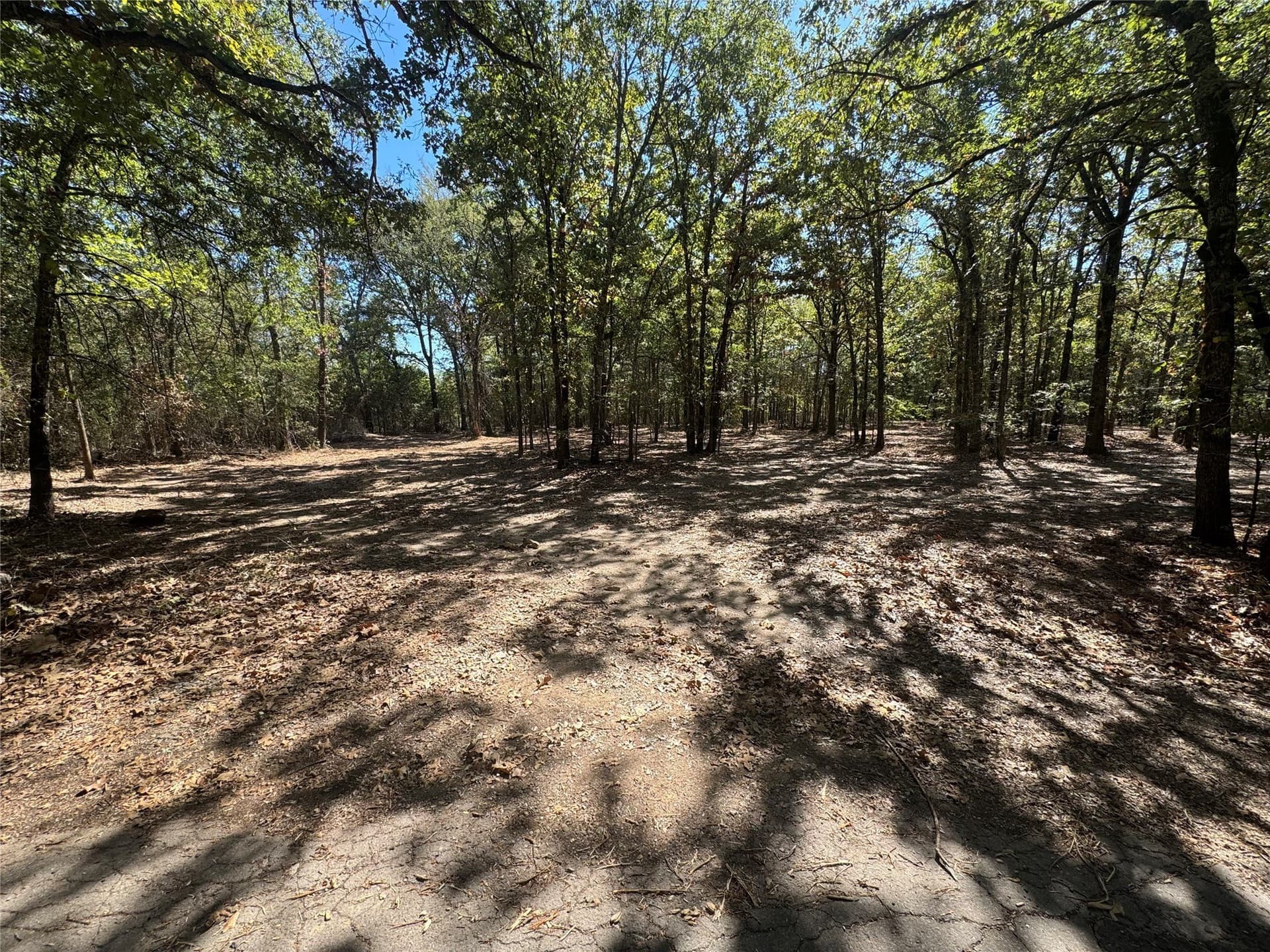 2.04 acres in Rains County - photo 2