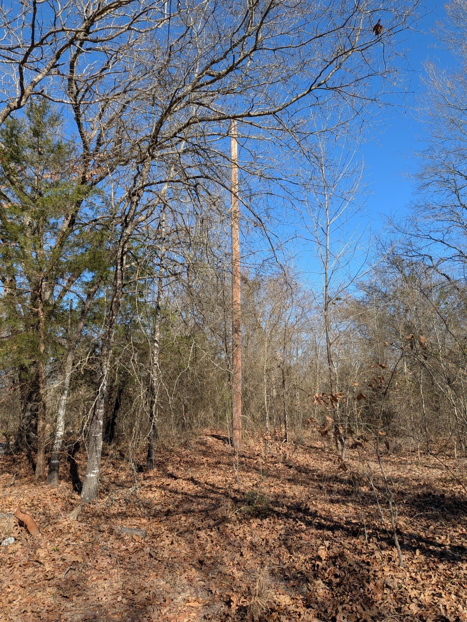 2.04 acres in Rains County - photo 9
