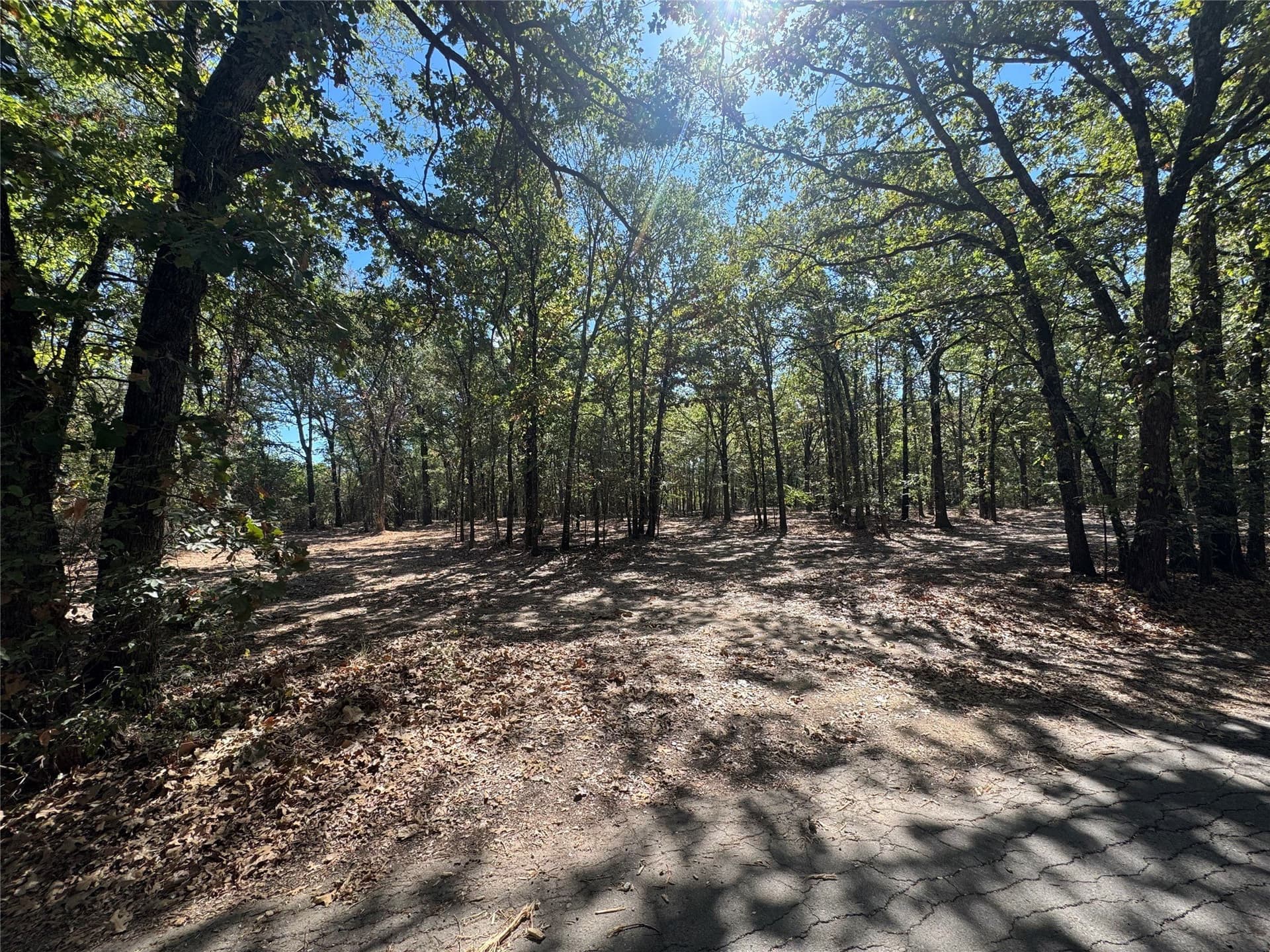 2.04 acres in Rains County - photo 6