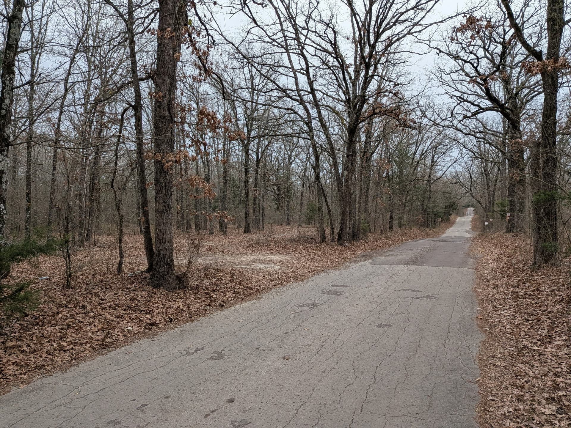 2.04 acres in Rains County - photo 14