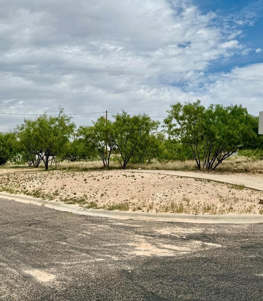 0.13 acres in Howard County gallery image 2