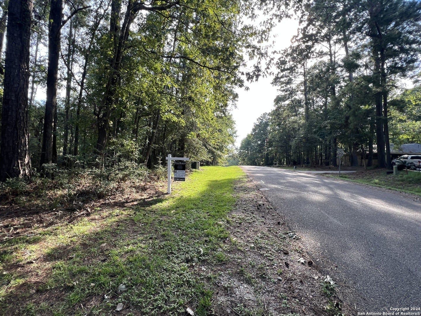 0.25 acres in San Jacinto County - photo 10