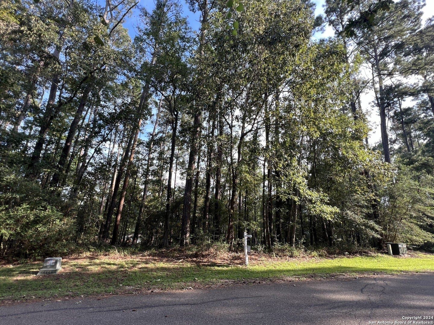 0.25 acres in San Jacinto County gallery image 3