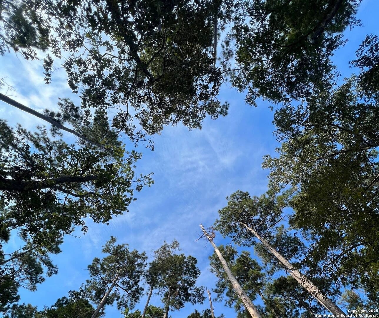 0.25 acres in San Jacinto County - photo 8