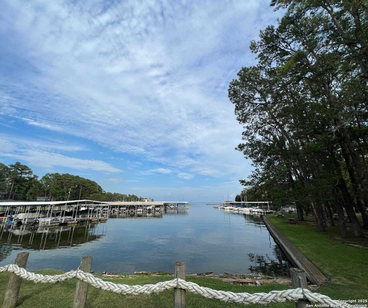 0.25 acres in San Jacinto County - photo 9