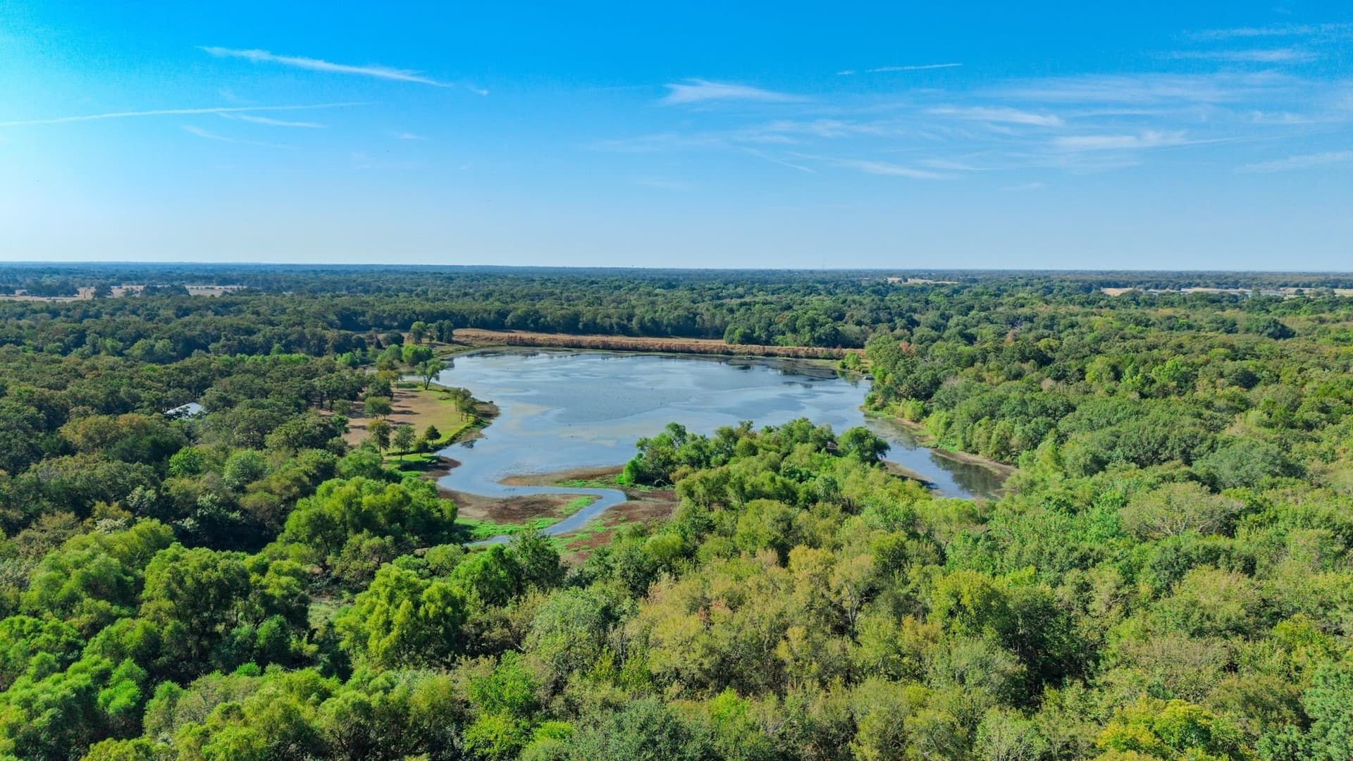 44.64 acres in Hunt County - photo 6