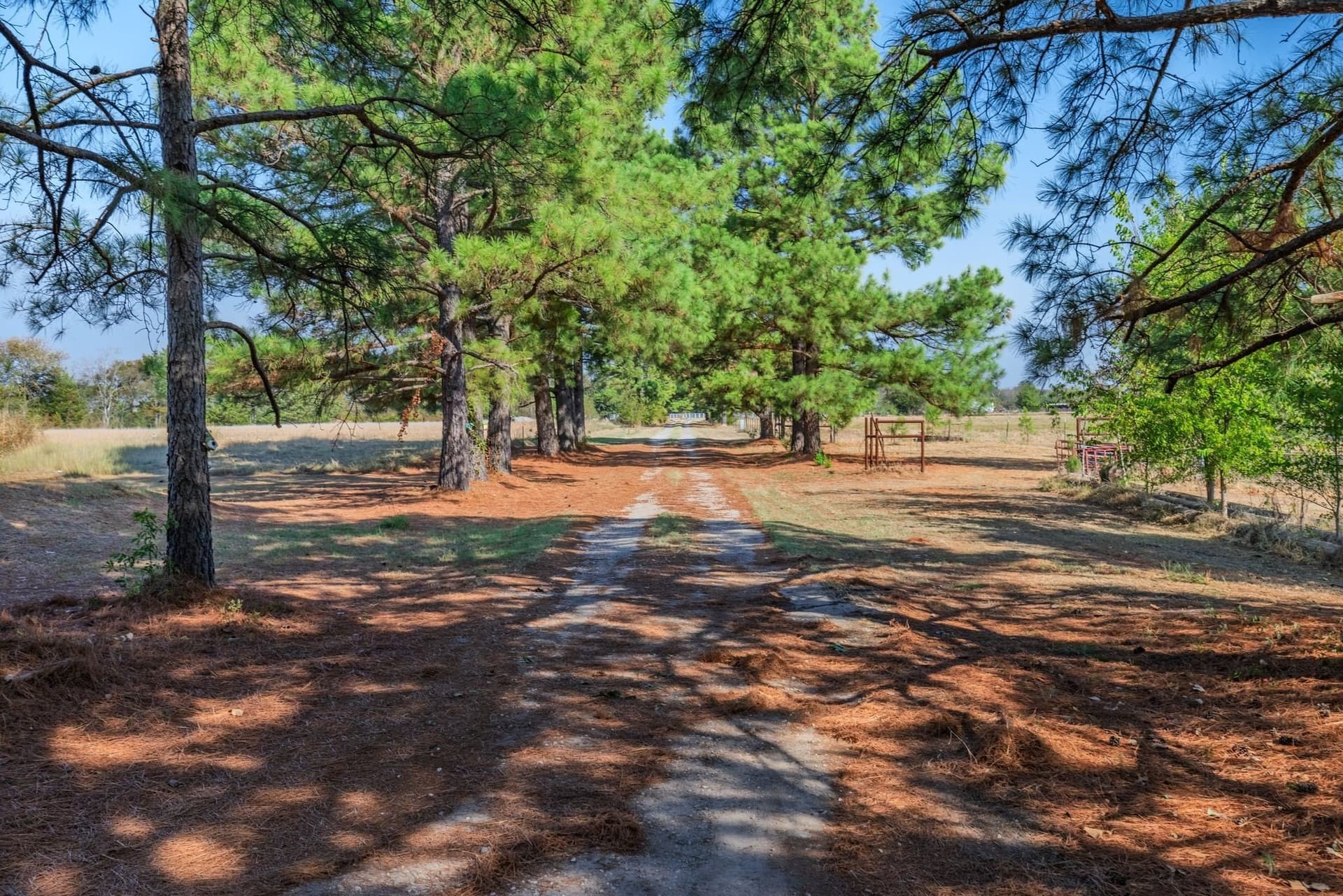 44.64 acres in Hunt County - photo 37