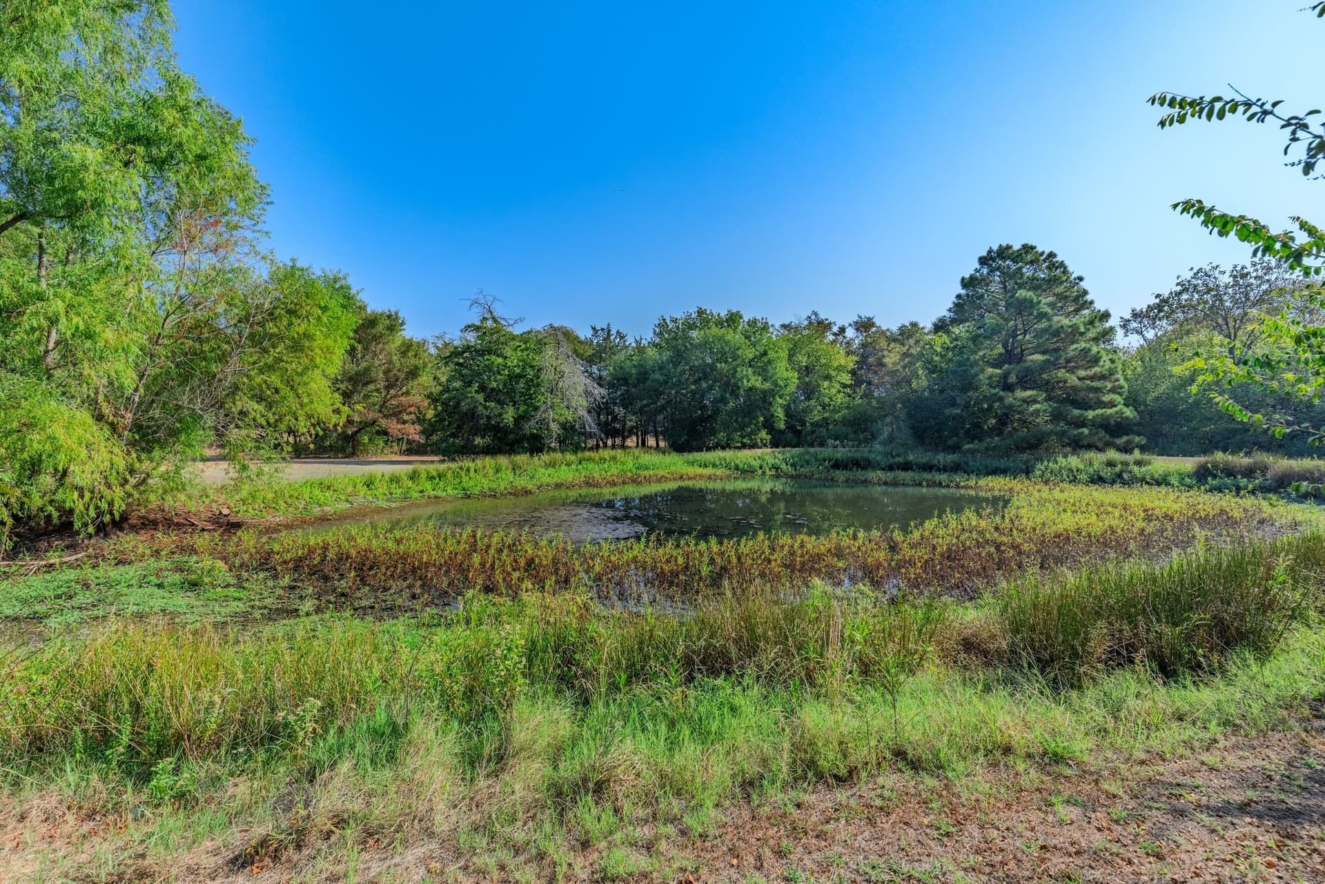 44.64 acres in Hunt County - photo 31