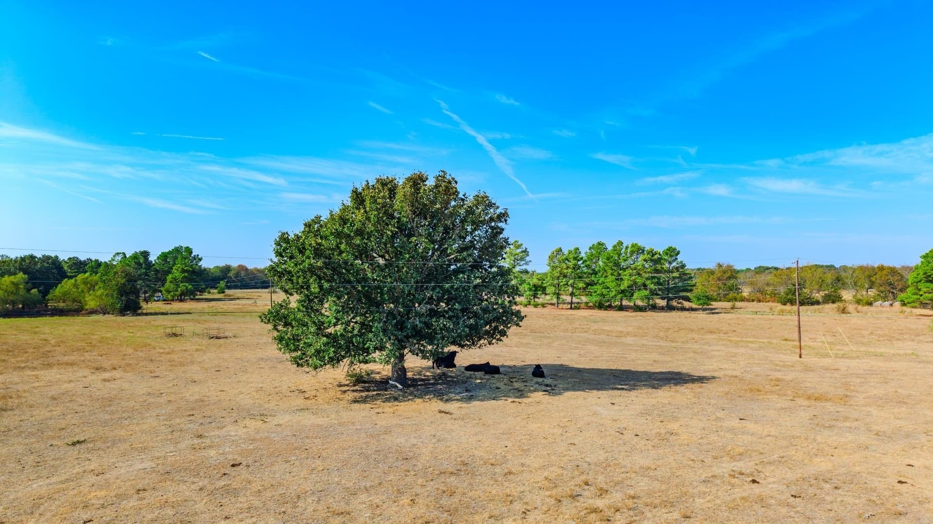 44.64 acres in Hunt County - photo 2