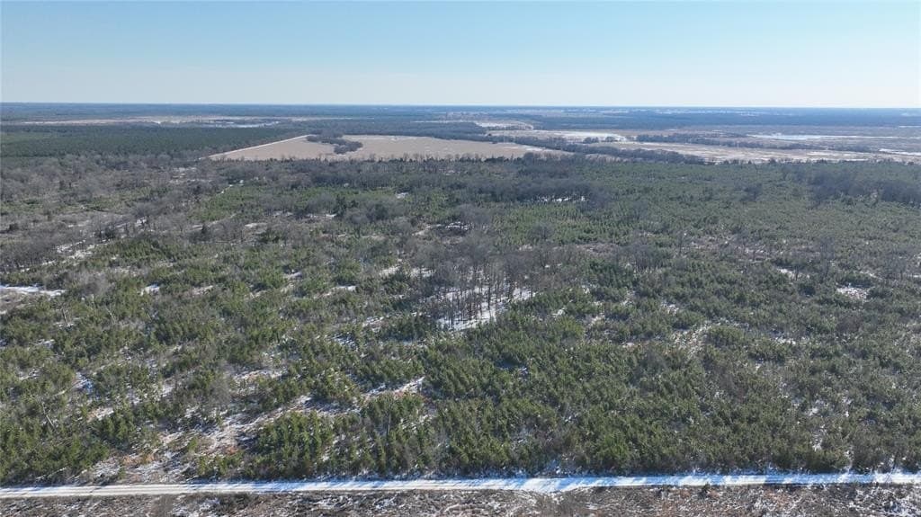 129.27 acres in Red River (TX) County gallery image 4