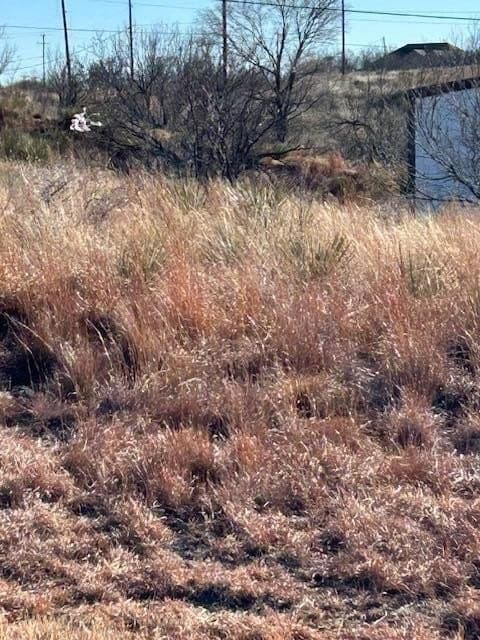 0 acres in Hutchinson County - photo 3