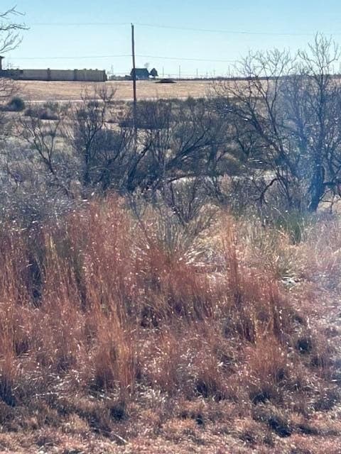 0 acres in Hutchinson County - photo 6