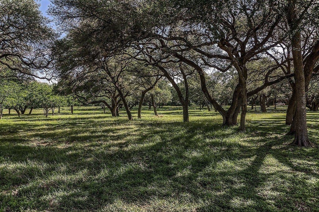 11.5 acres in Washington County featured view