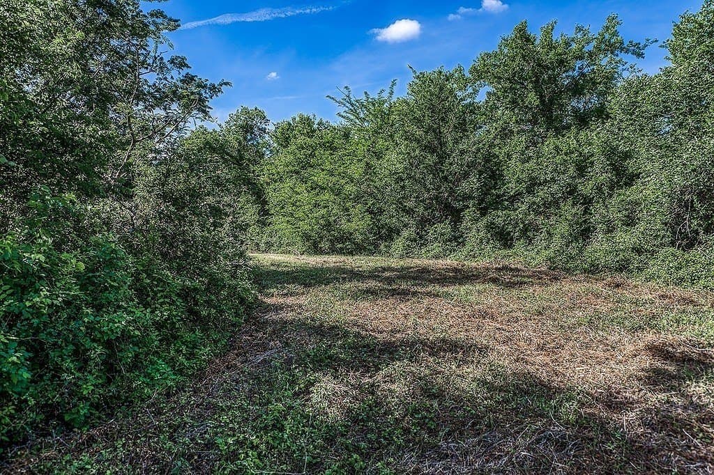11.5 acres in Washington County - photo 13