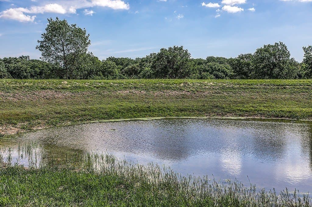 11.5 acres in Washington County - photo 15